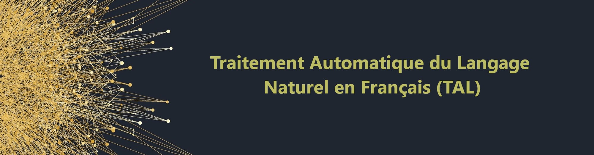Traitement Automatique Du Langage Naturel En Francais Tal Nlp
